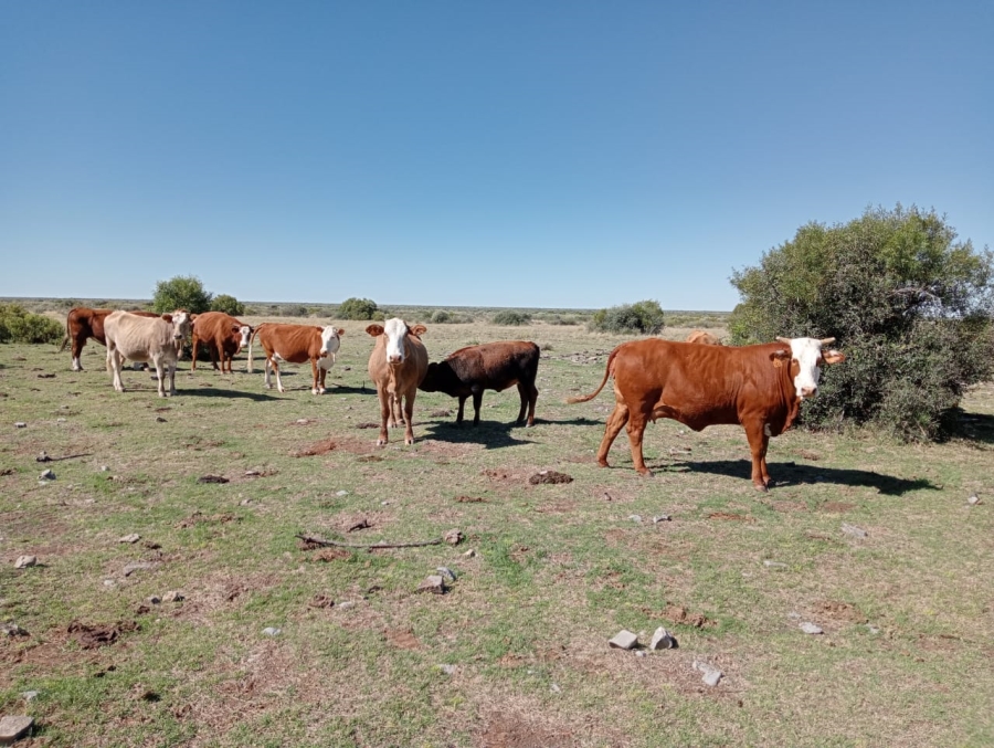 Commercial Property for Sale in Koopmansfontein Northern Cape